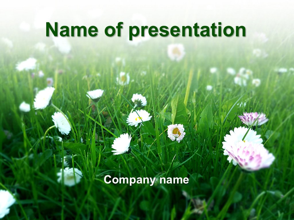 Summer grass powerpoint template presentation